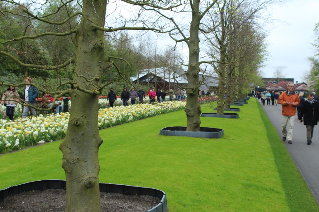 At Keukenhof's Flower garden