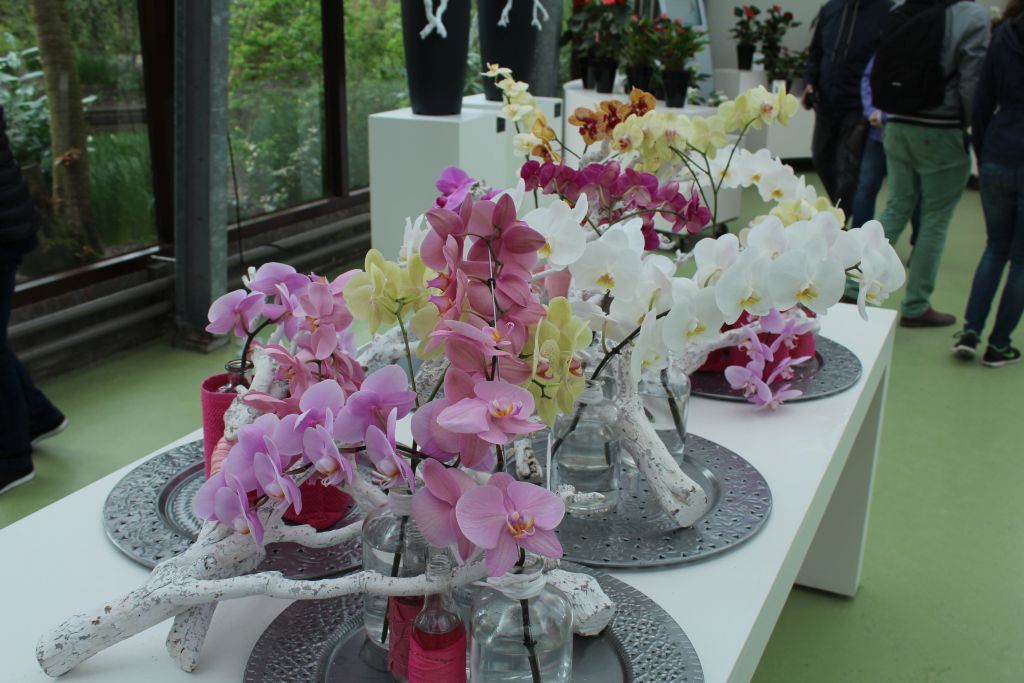 Flowers at Keukenhof's Love Room