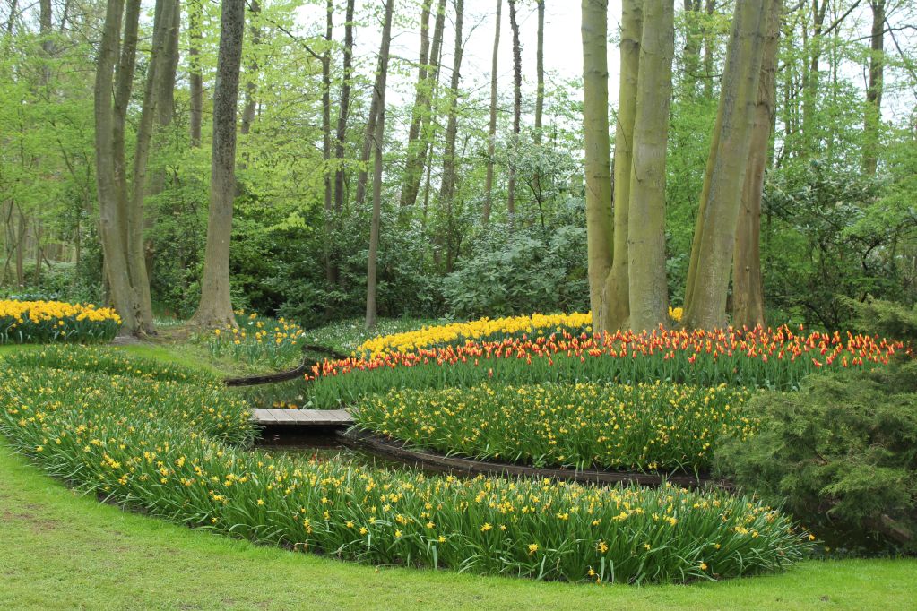 Keukenhof's Park garden