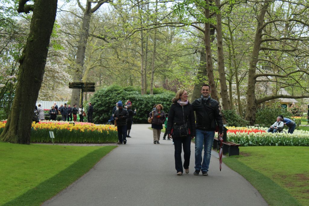 Keukenhof's Park garden