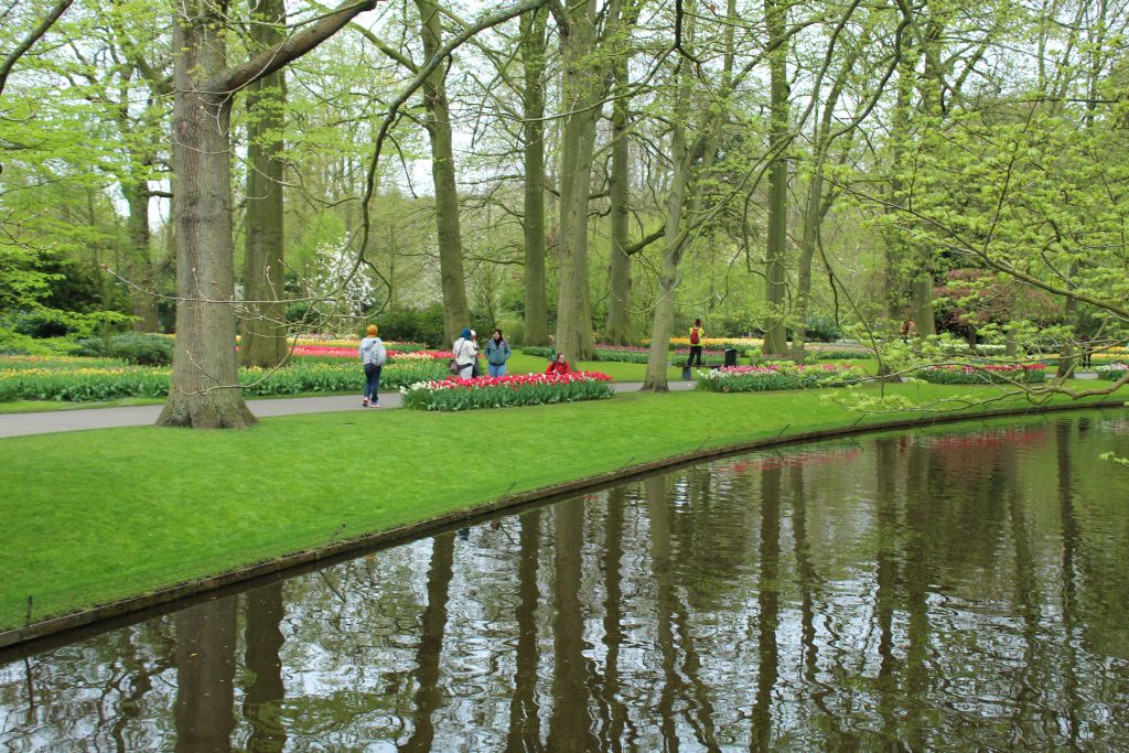 At Keukenhof's park garden