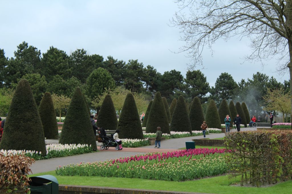 Garden landscape at Keukenhof