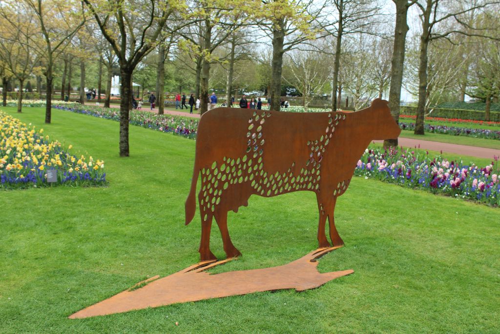 A cow in Keukenhof's garden