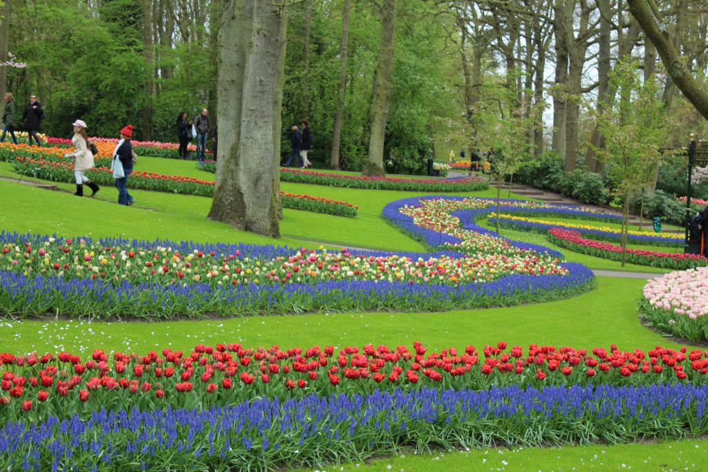 River of Flowers at Keukenhof's garden