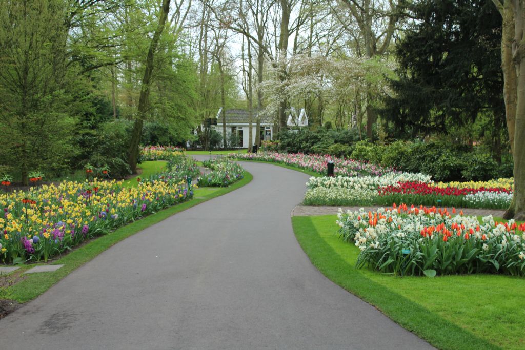 Keukenhof's garden