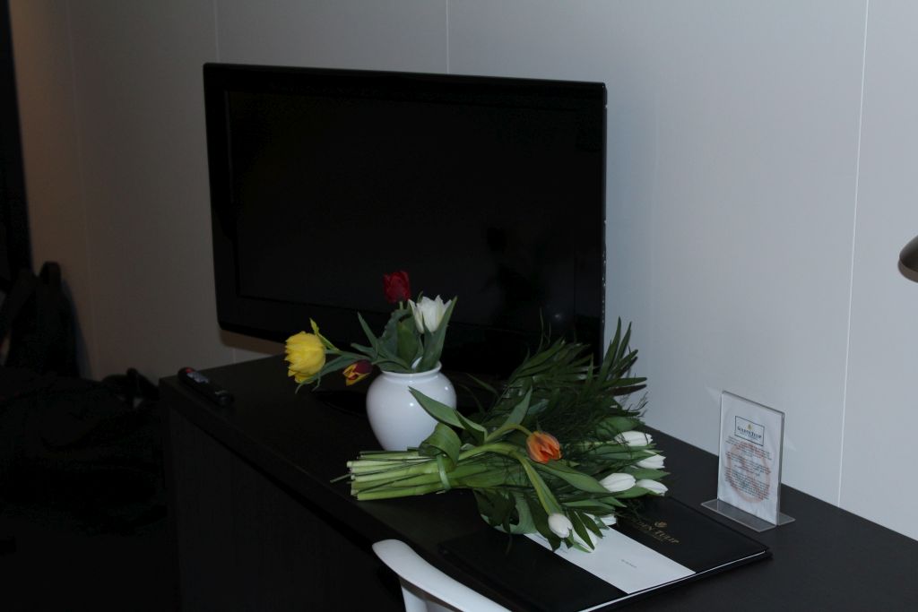 Flat Screen TV and tulips back from Keukenhof
