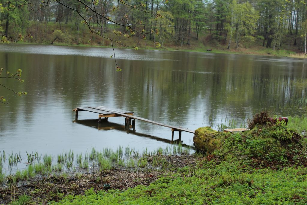 Footbridge on Kazdanga Mill Lake