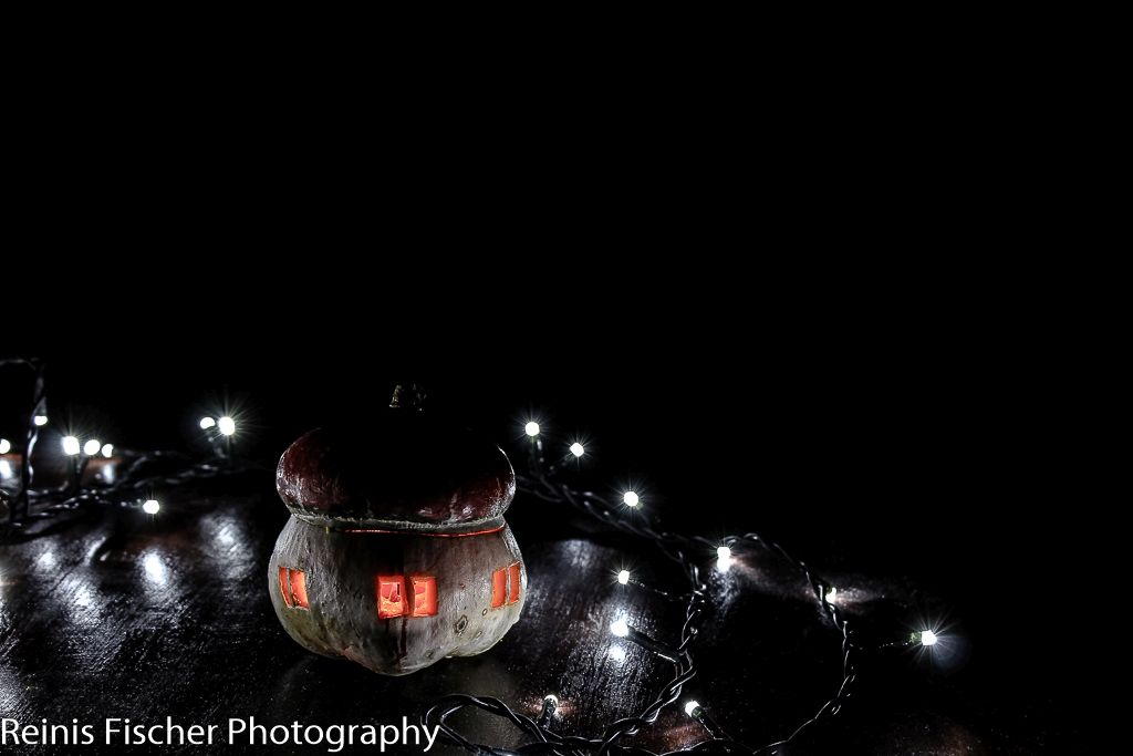 A pumpkin house photography