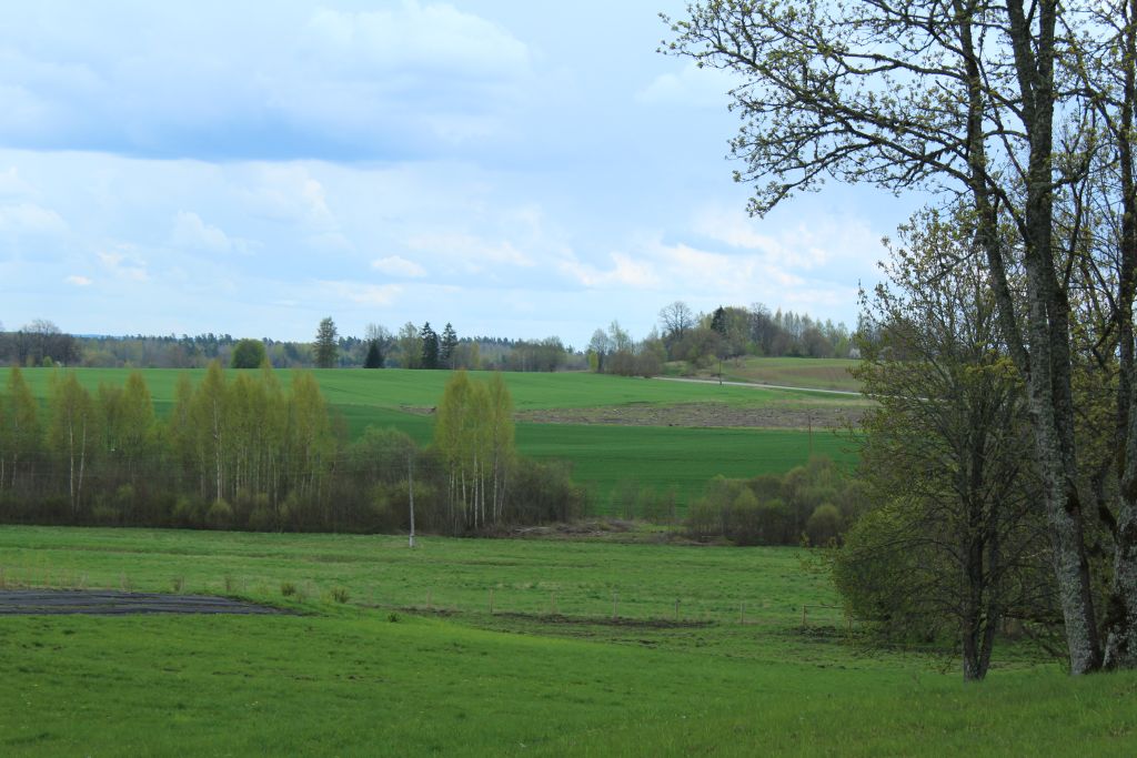 A typical Latvian coutryside