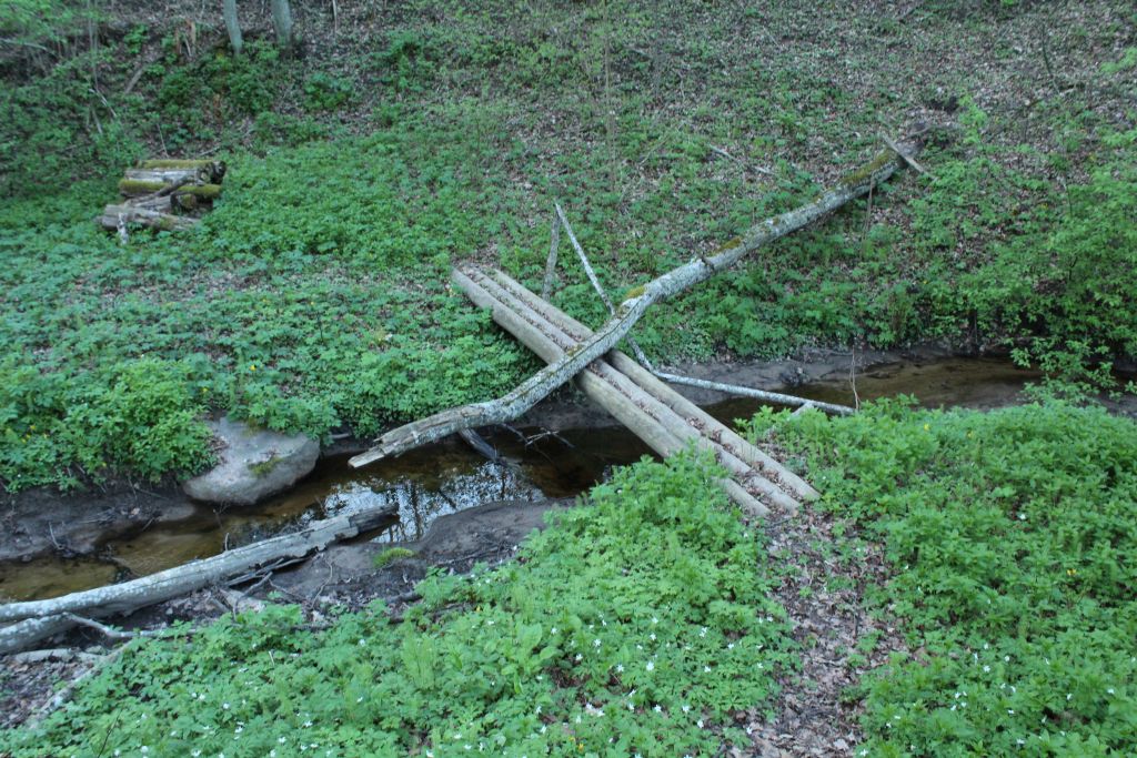 Another wooden bridge