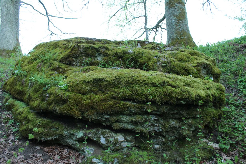 Rudzisi stone