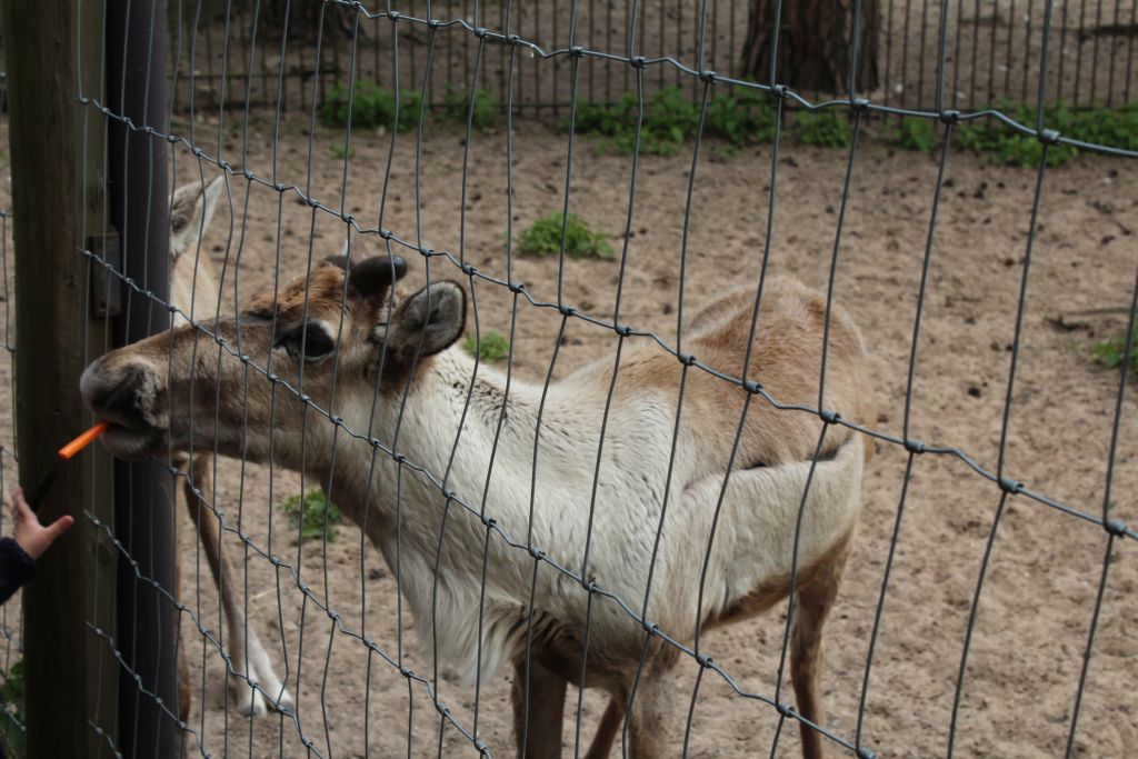 Riga Zoo