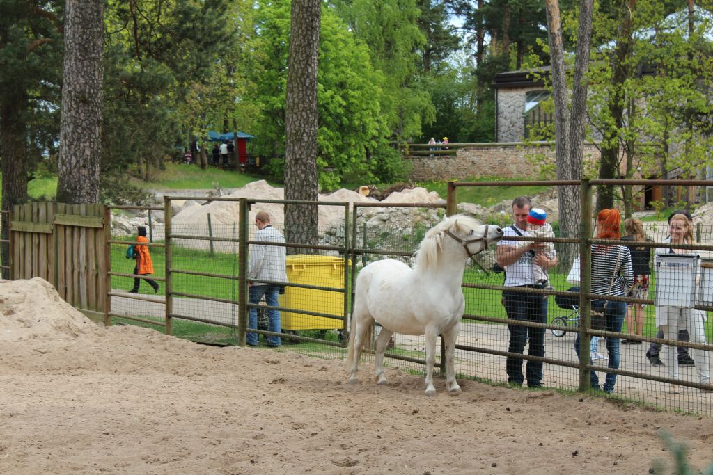 At Riga Zoo