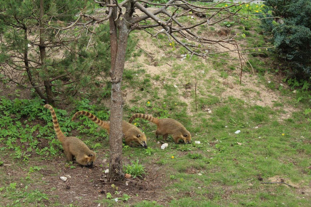 At Riga Zoo