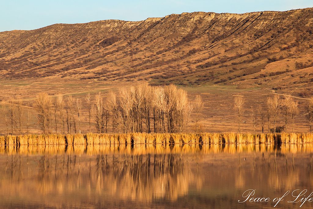 Water reflections on Lisi lake in Tbilisi