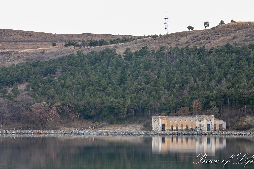 Building reflection on water