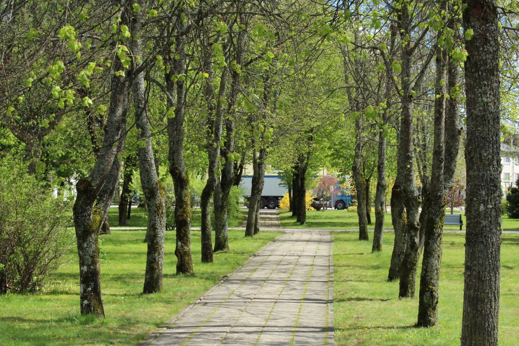 Lovely alley near Skrunda Cultural Center