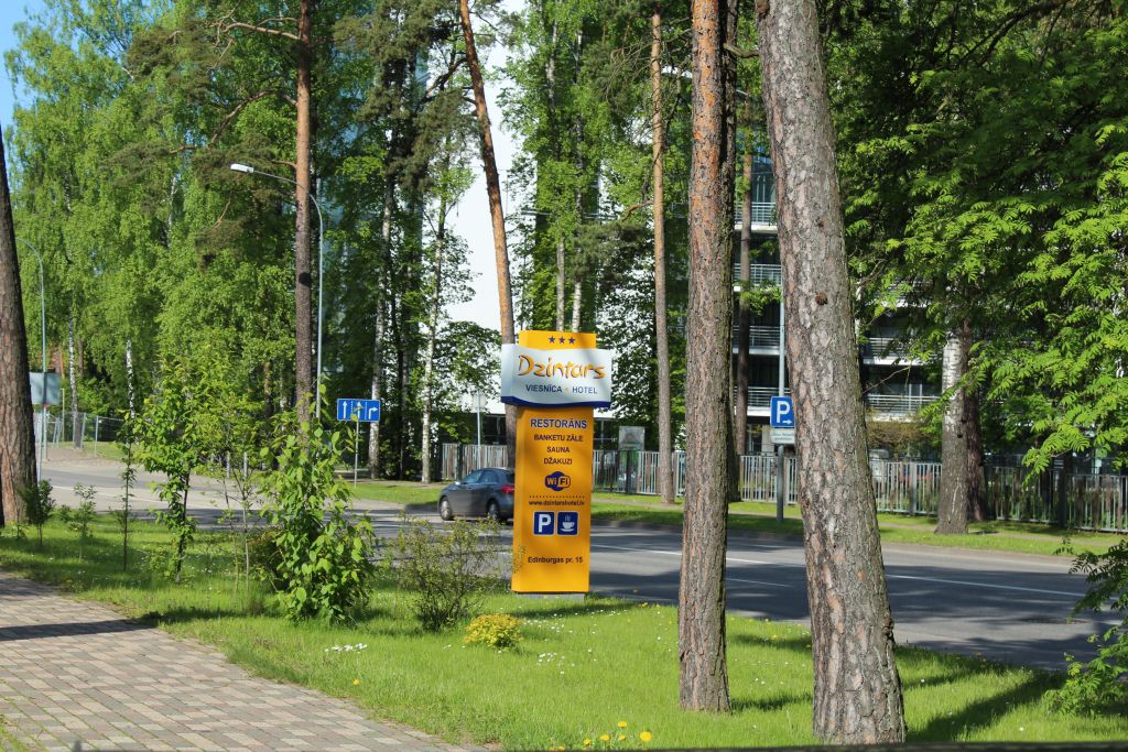 Pine forest near hotel Dzintars