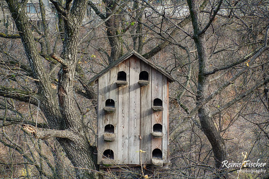 Bird cage with a lot of apartments in restaurants territory