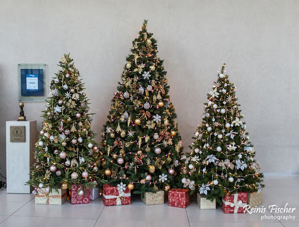 Christmas trees at Radisson Blu Iveria Hotel lobby in Tbilisi