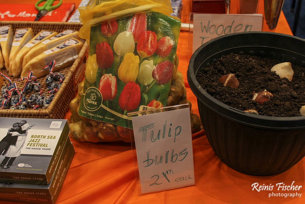 Tulip Bulbs from The Netherlands embassy in Tbilisi