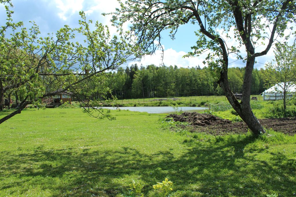 Bandžēni farm in Courland