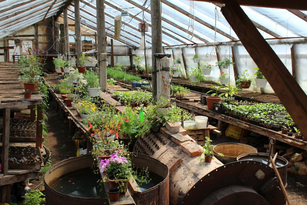 Greenhouse for seedlings