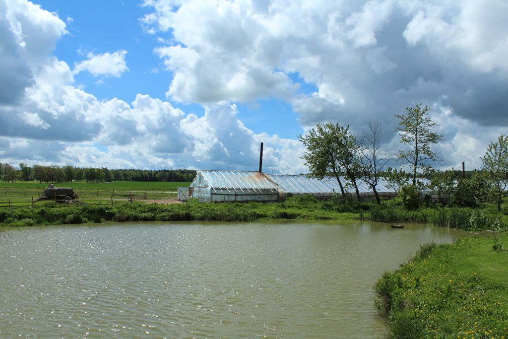 Bandžēni farm