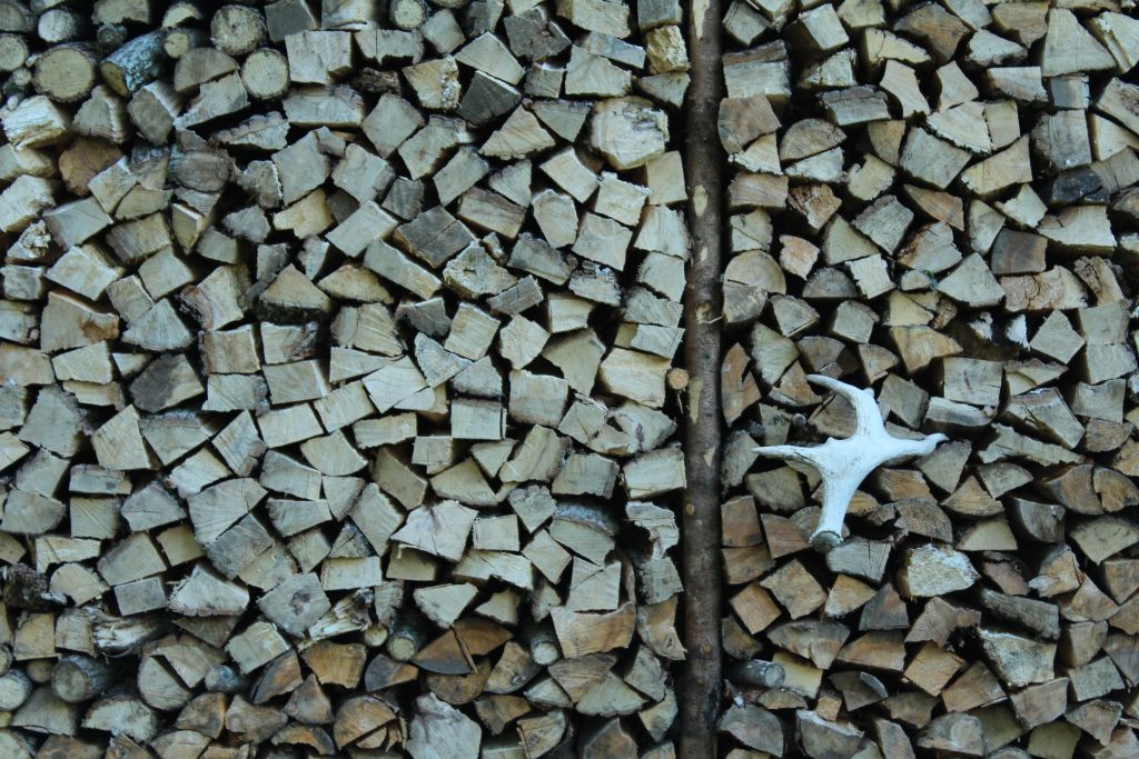 Wood pile