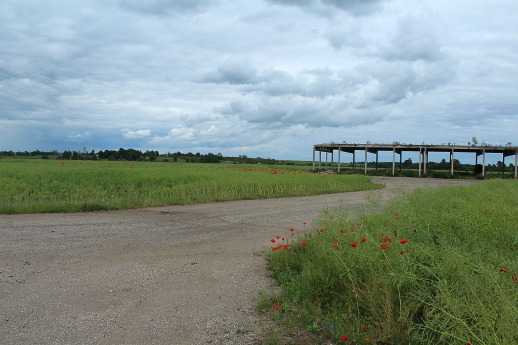 Airfield in middle of poppy fields