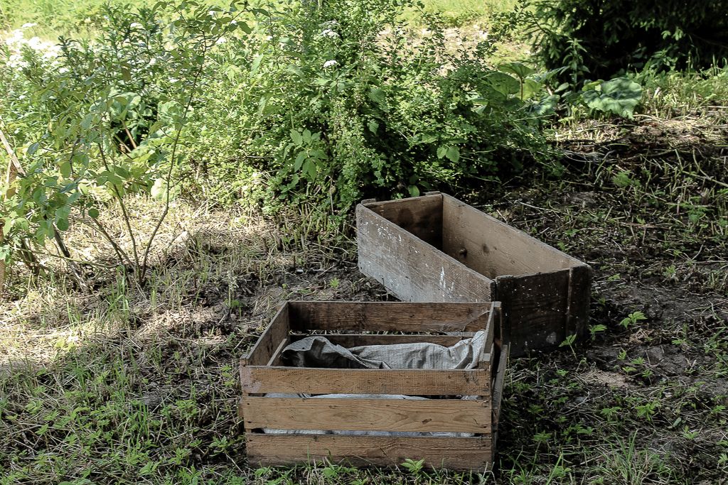 Old Wooden boxes reused for veggie garden