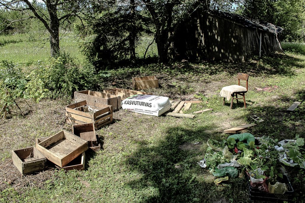 Old boxes reused for growing veggies