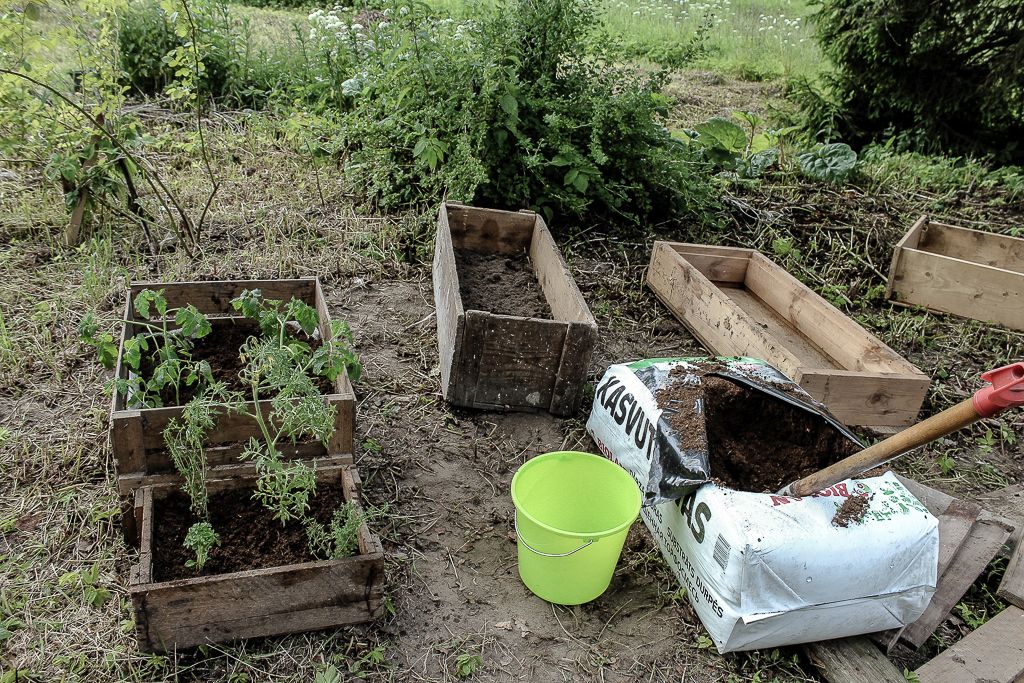 Peat for better growing conditions