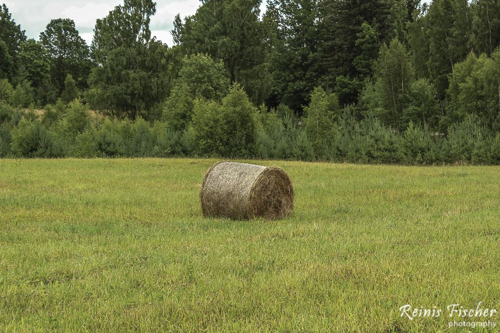 Hay roll