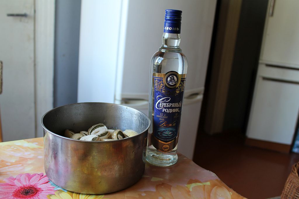 Phallus impudicus and Standard Russian Vodka