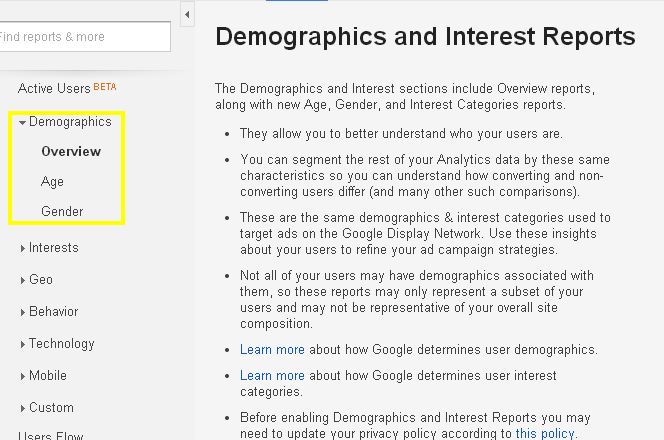 Google Analytics Display Features