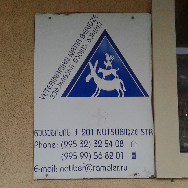 Logo and address details for Natia Beridze veterinary clinic