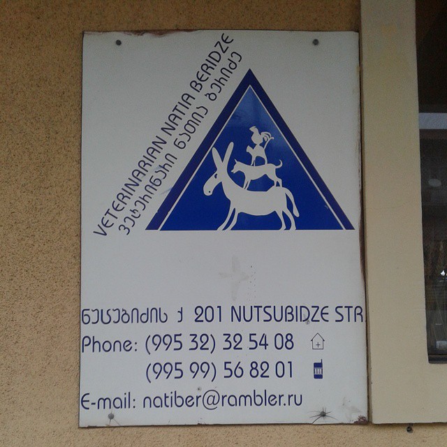 Logo and address details for Natia Beridze veterinary clinic