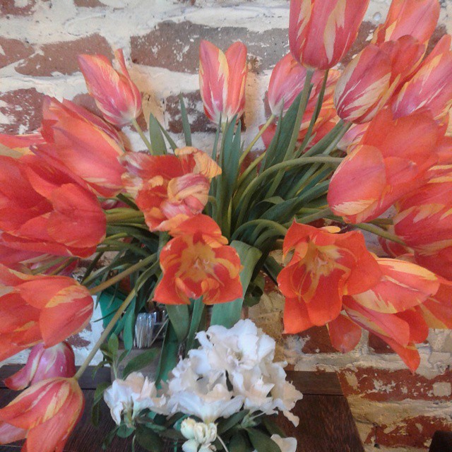 Tulips at Cafe Discovery