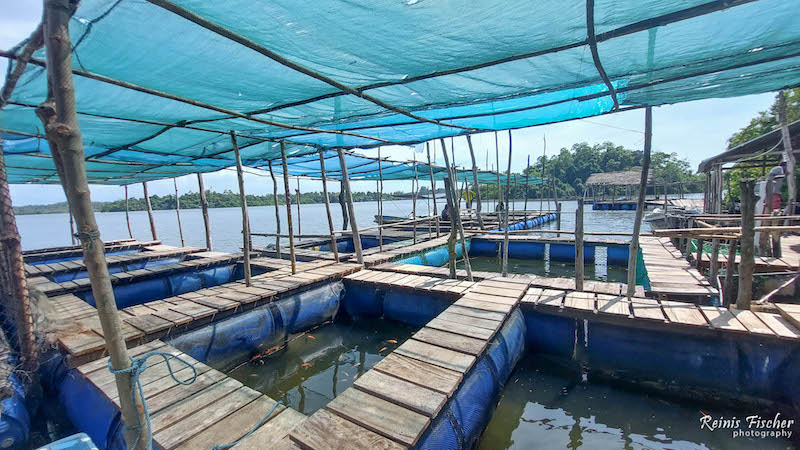 Fishery on Madu Ganga River