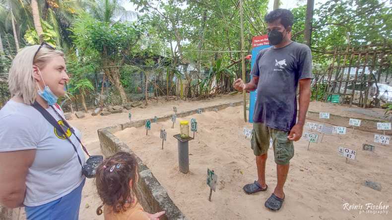 At the Kosgoda Turtle care hatchery, Sri Lanka