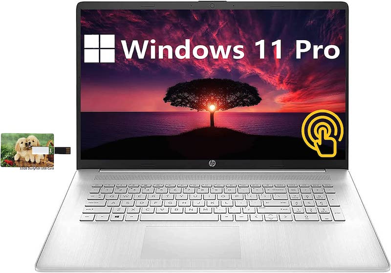 HP 17.3" HD Touchscreen Business Laptop, 11th Gen Intel Core i7-1165G7, Windows 11 Pro, 64GB RAM, 2TB SSD, Backlit Keyboard, HDMI, WiFi 6, Webcam, Long Battery Life, 32GB USB Card