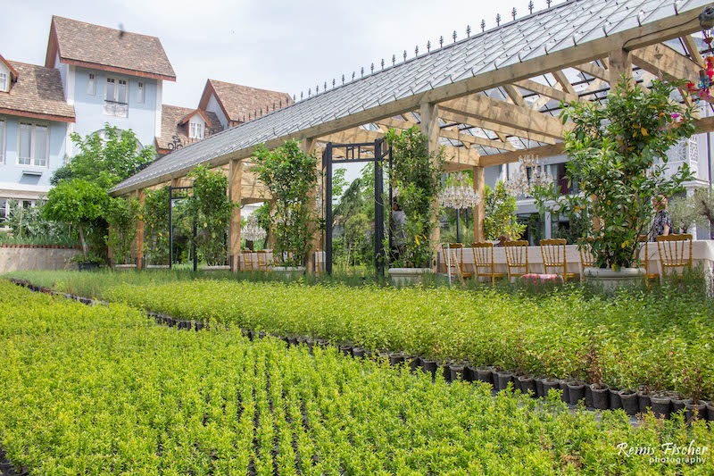 Dinning hall at Gardenia Shevardnadze