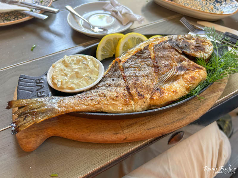 Grilled fish