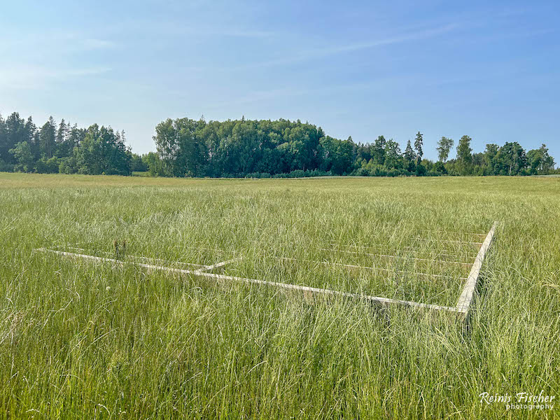 Frame house foundation in grass