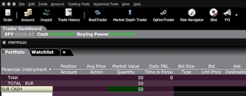 Portfolio view in IBKR Classic TWS