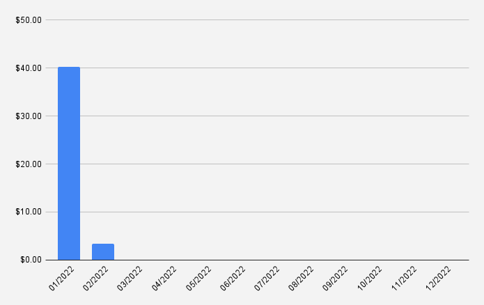 Dividend income report February 2022