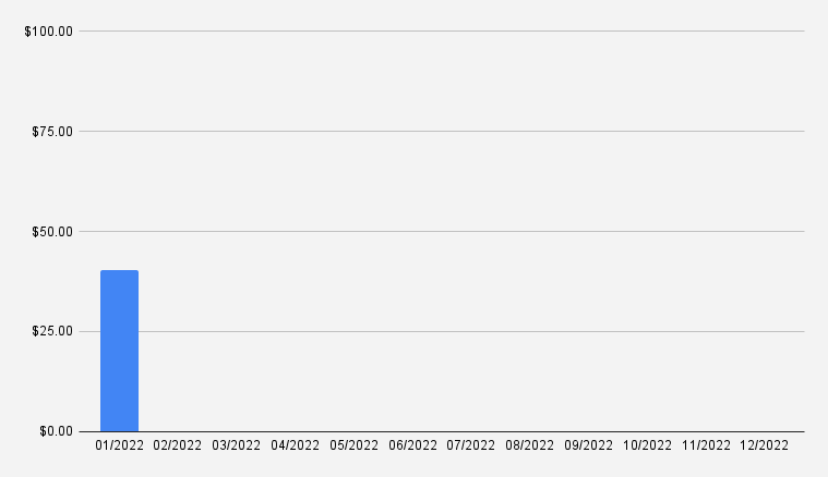 Dividend income report January 2022