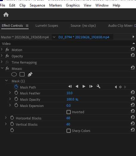 Effects Control in Adobe Premiere Pro